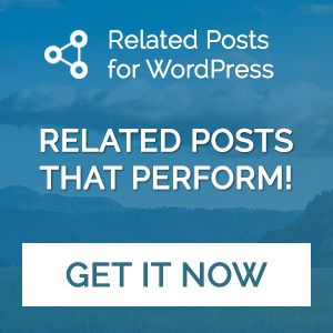 Related Posts for WordPress